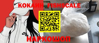 крисы Гагарин