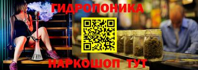 не бодяженный Гай