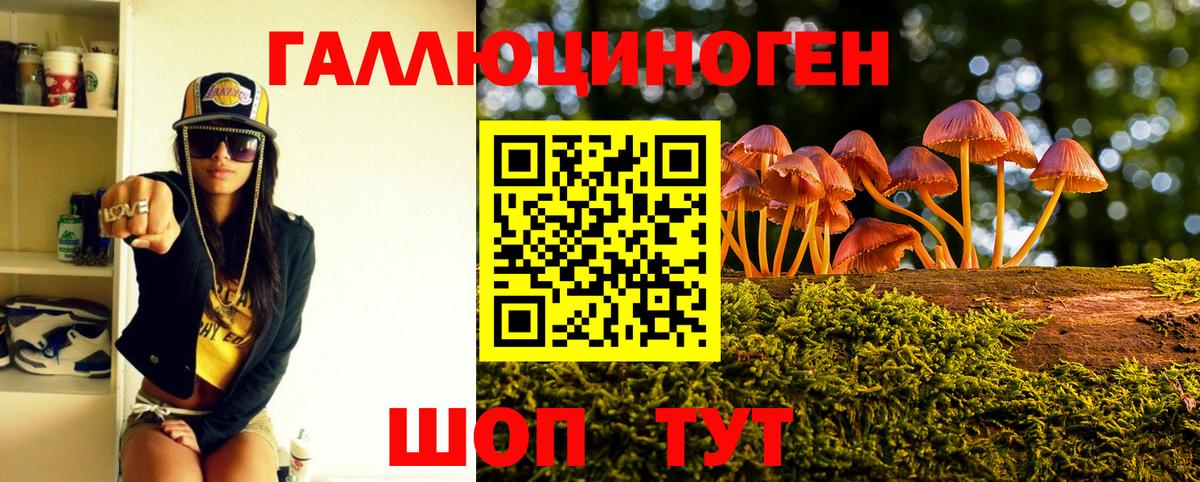 Галлюциногенные грибы Cubensis  Вход с VPN  Галлюциногенные грибы GOLDEN TEACHER  Белореченск 