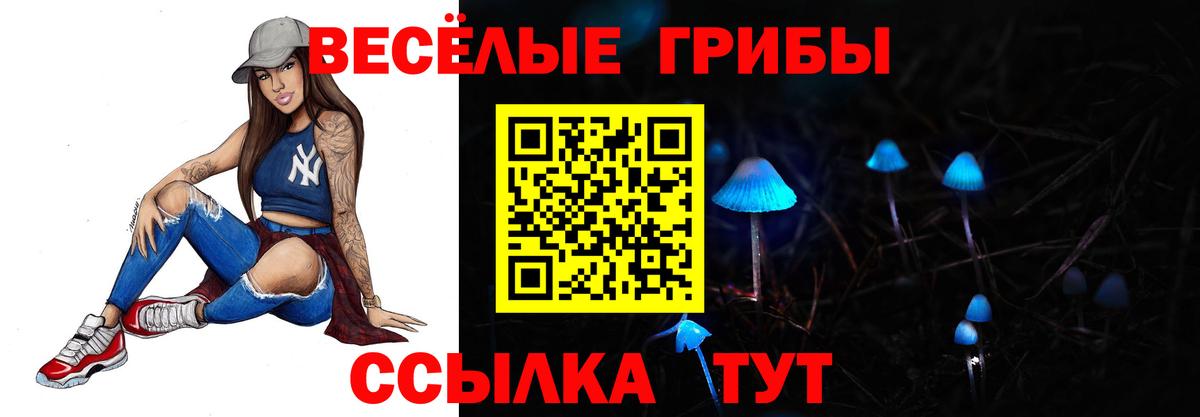 Псилоцибиновые грибы Cubensis Белореченск